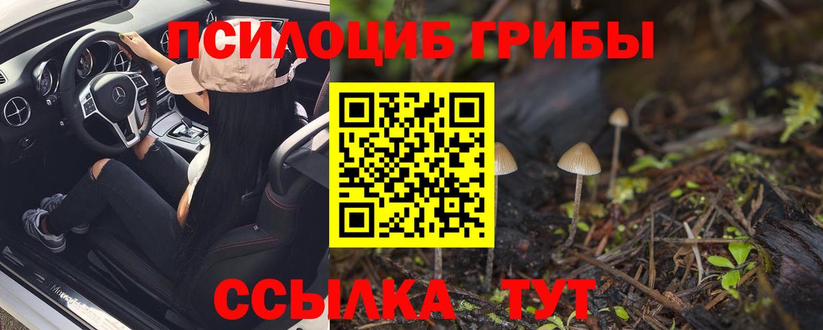 Псилоцибиновые грибы Psilocybine cubensis  Галлюциногенные грибы MAGIC MUSHROOMS  Мирный  Вход с VPN 